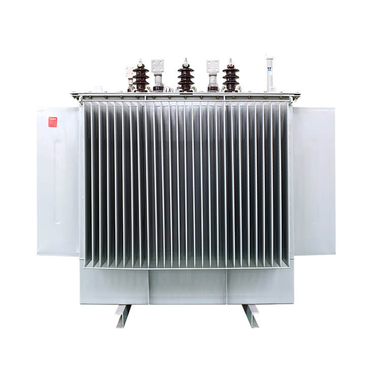 Oil-immersed transformers