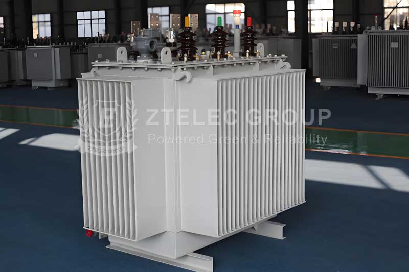 Oil-immersed transformers