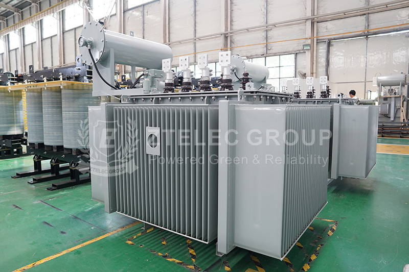 Oil-Immersed Transformers
