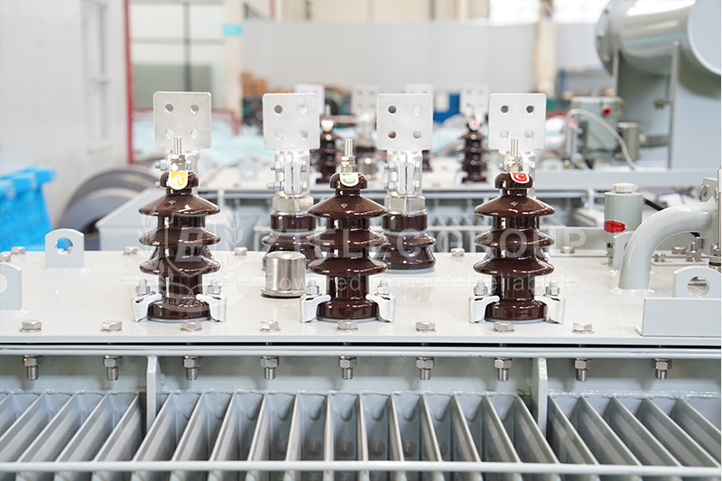 Oil-Immersed Transformers