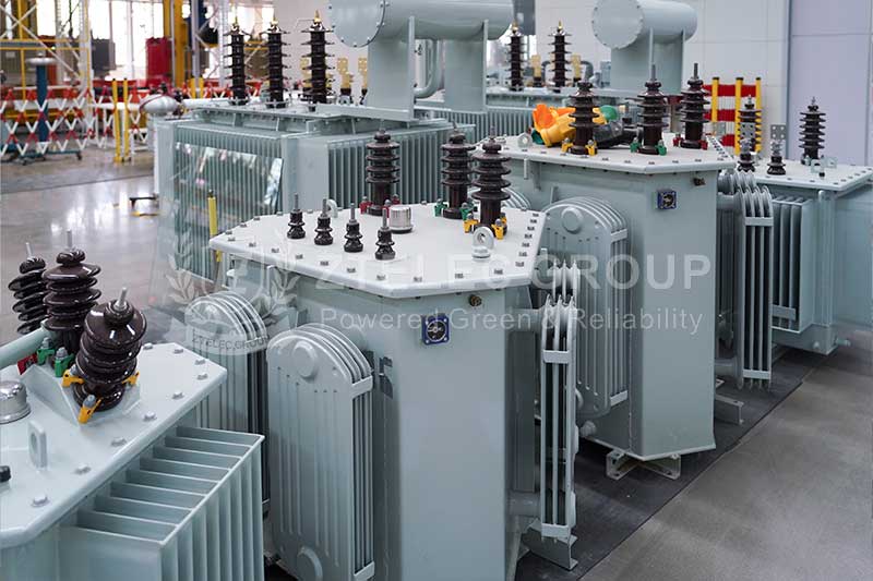 Oil-immersed transformers