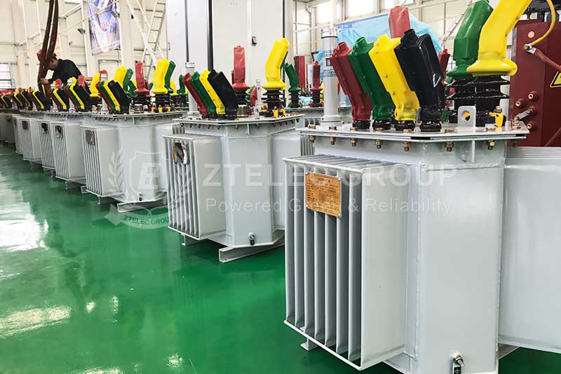 Oil-immersed transformers