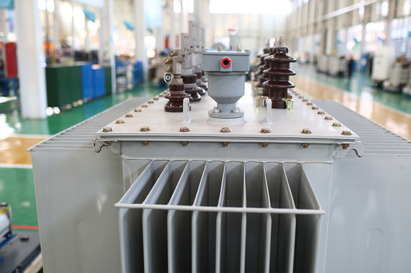 oil-immersed transformer