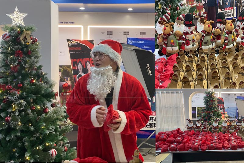Merry Christmas — ZTelecgroup Christmas Celebration